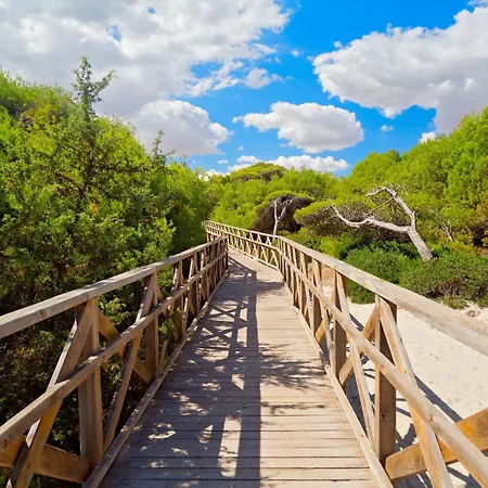 Son Baulo Poma Can Picafort (Mallorca)